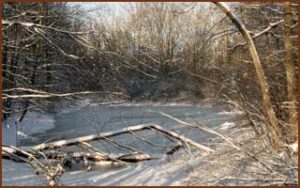 Frozen Lake