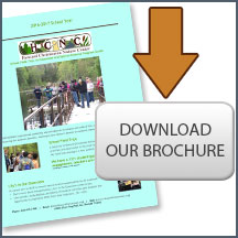 Download our Brochure